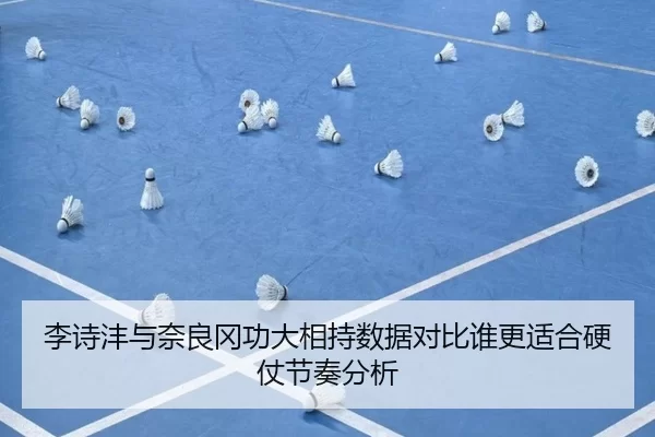 李诗沣与奈良冈功大相持数据对比谁更适合硬仗节奏分析